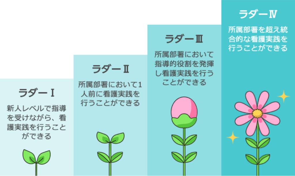 看護師の経年別キャリアラダーの図解。ラダーIからIVまでの4段階のステップ。・ラダーI: 新人レベルで指導を受けながら、看護実践を行うことができる（ふたばのイラスト）・ラダーII: 所属部署において1人前に看護実践を行うことができる（成長した若葉のイラスト）・ラダーIII: 所属部署において指導的役割を発揮し看護実践を行うことができる（花のつぼみのイラスト）・ラダーIV: 所属部署を超え統合的な看護実践を行うことができる（開花した花のイラスト）